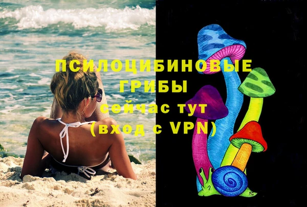 mdpv Каменка