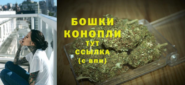 mdpv Каменка