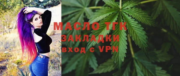 mdpv Каменка